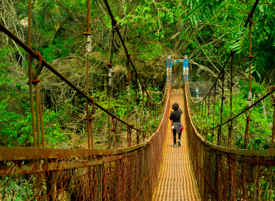 Explore Meghalaya