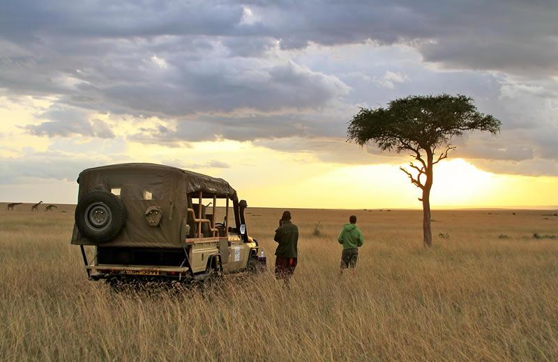 Kenya Safari  & Zanzibar Proposal