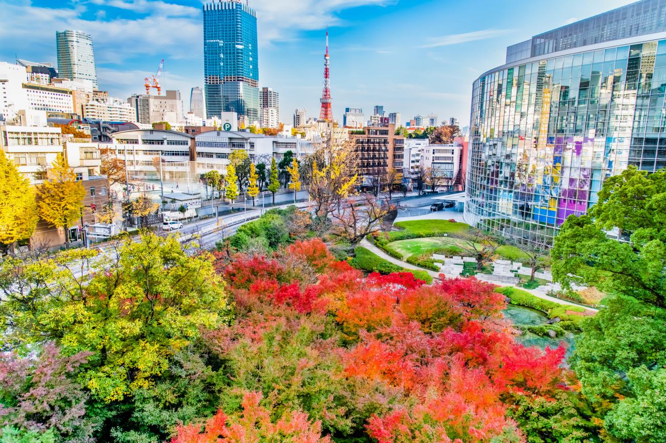 Japan Tour Program