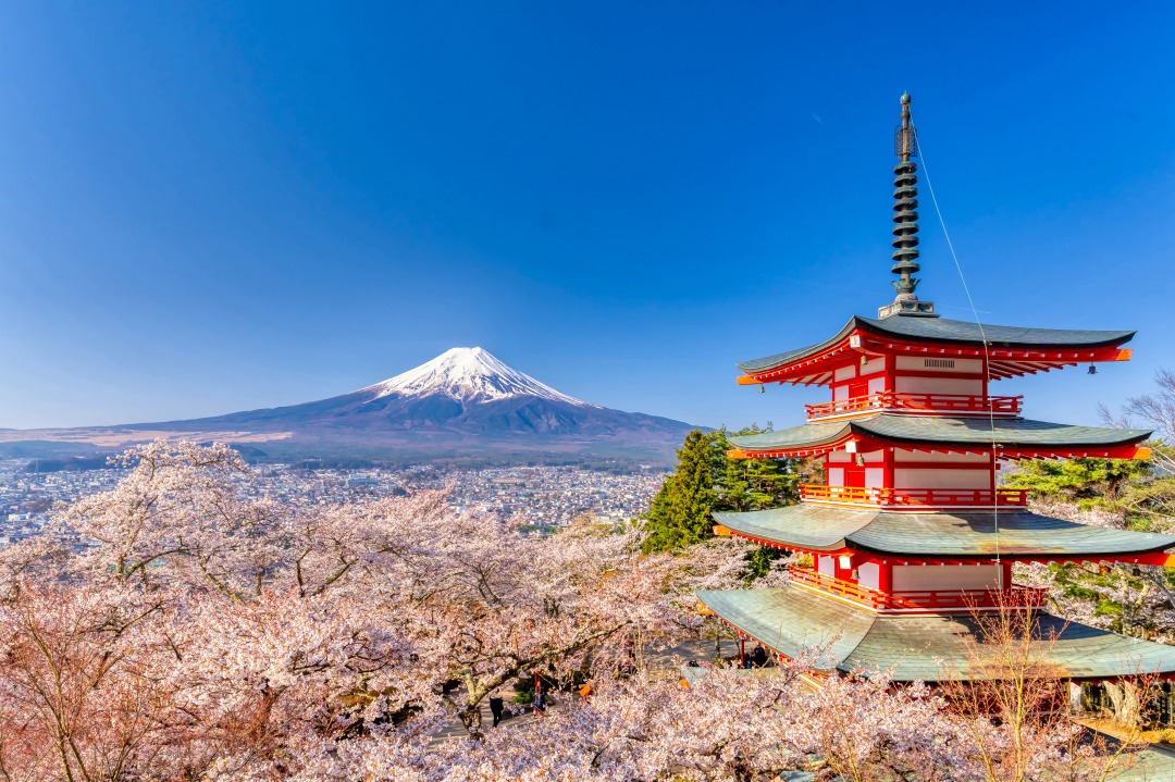 Japan Tour Program