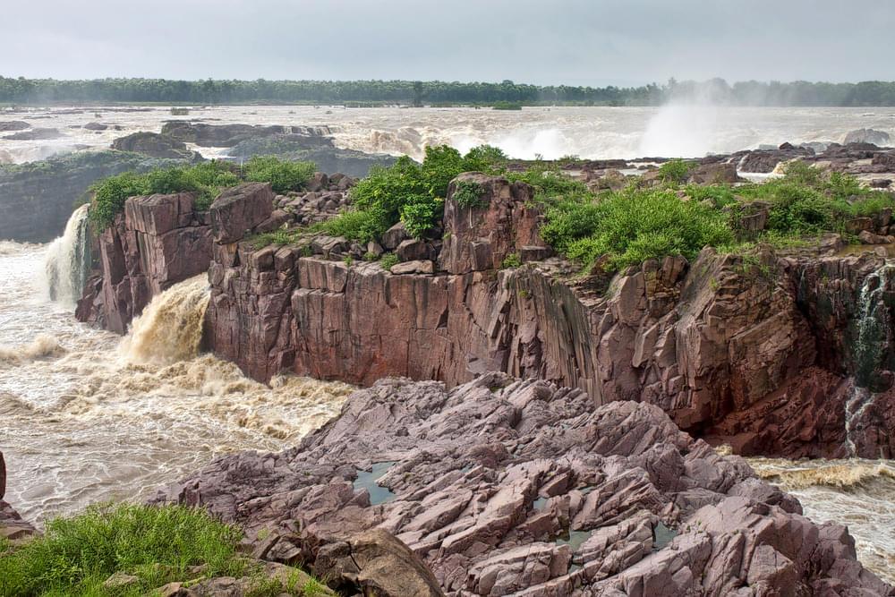 Wild Trails of Central India