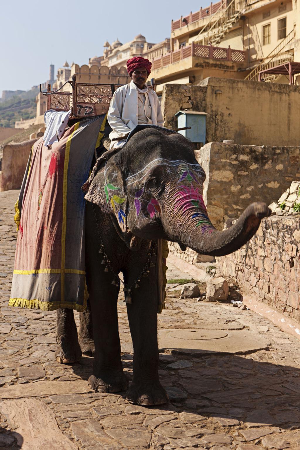 Royal Rajasthan Heritage Tour