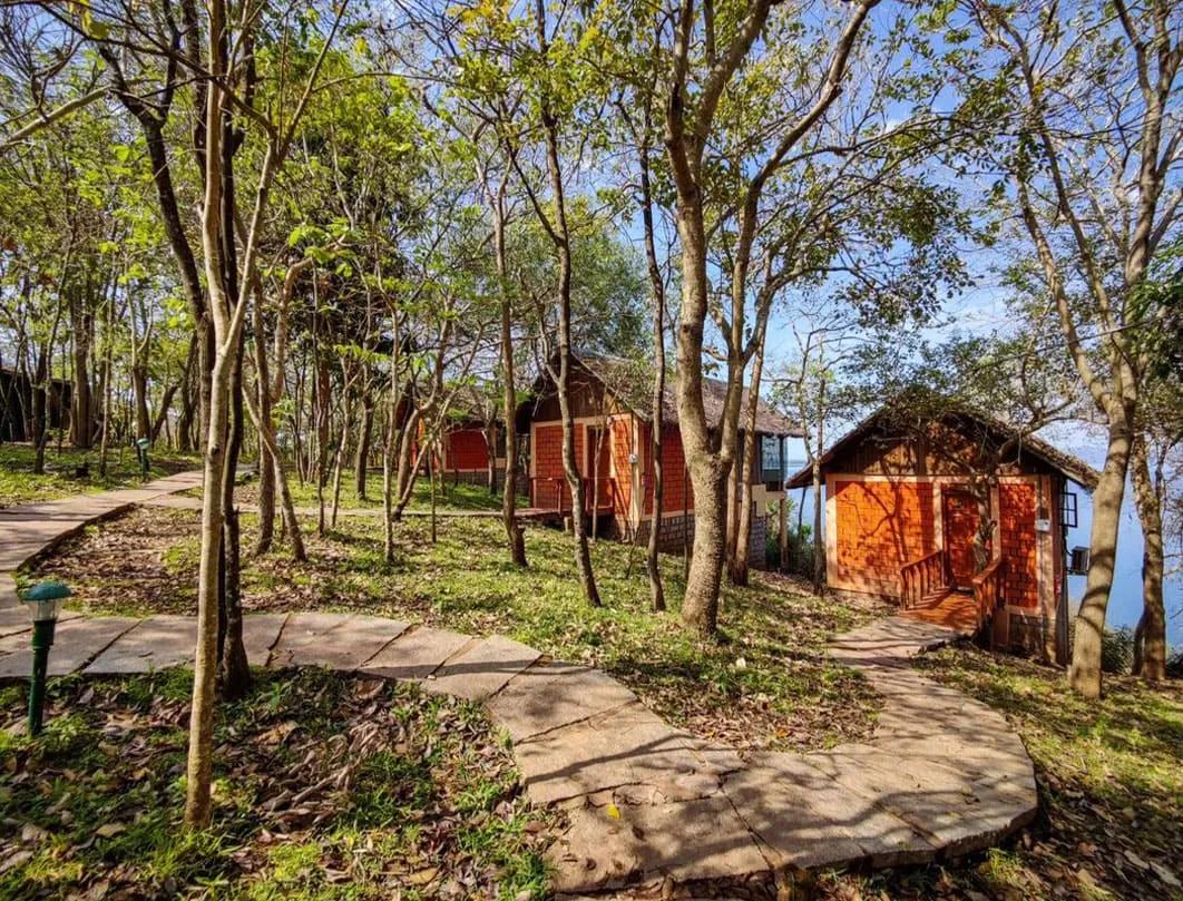 Chikmagalur Hills & Wildlife Retreat
