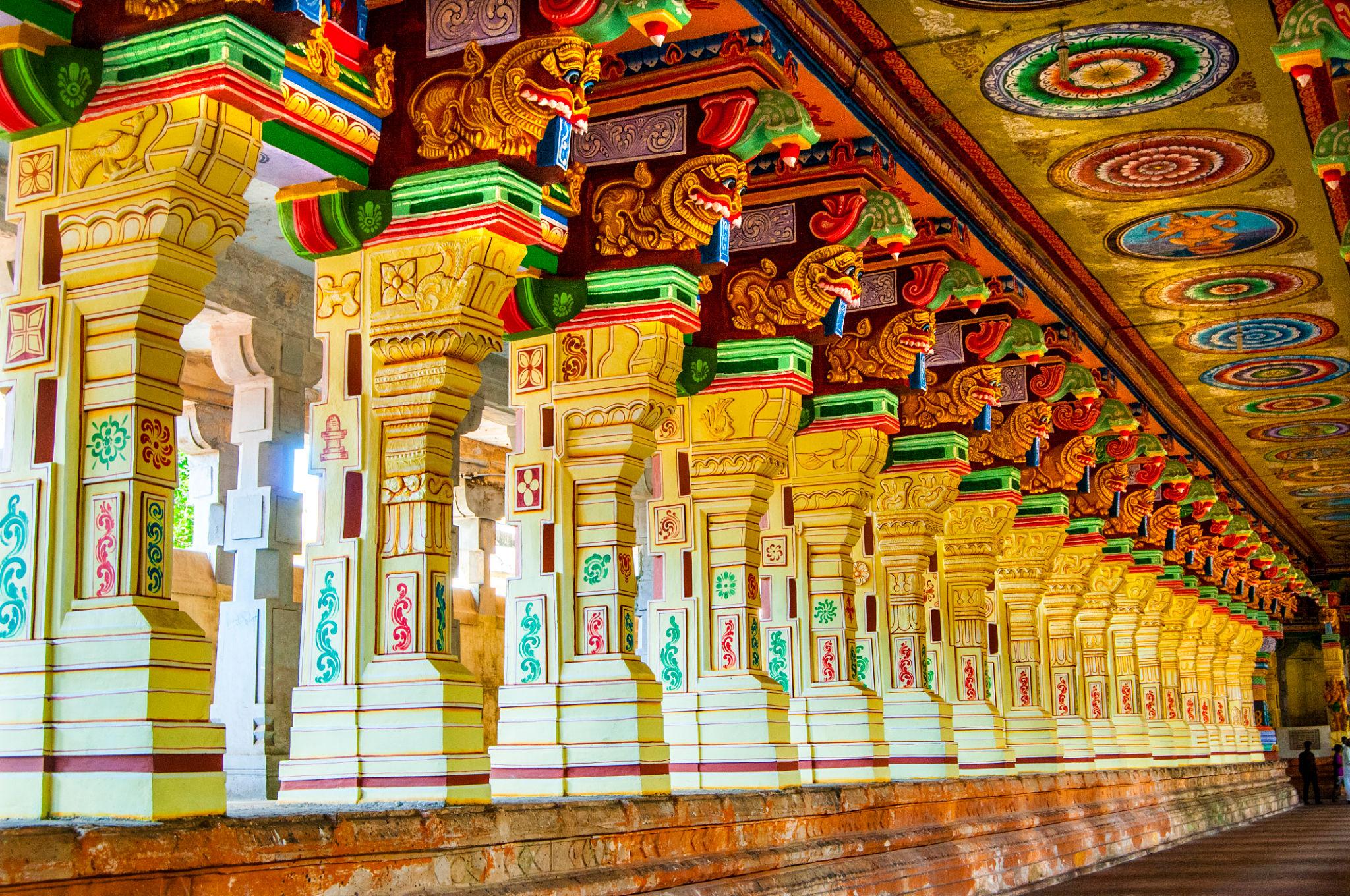 South India Temple & Hill Station Discovery Tour