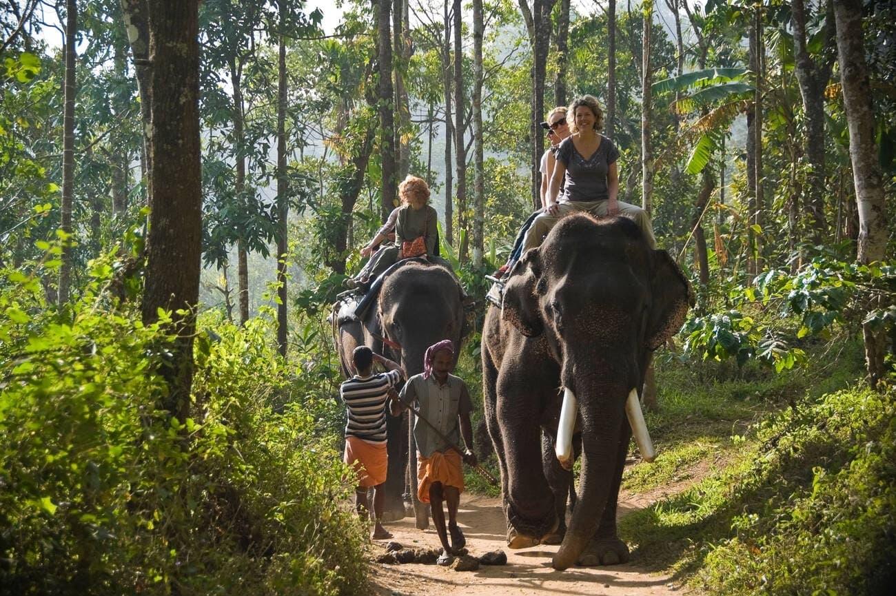 Kerala Waterfalls, Backwaters & Beach Escape