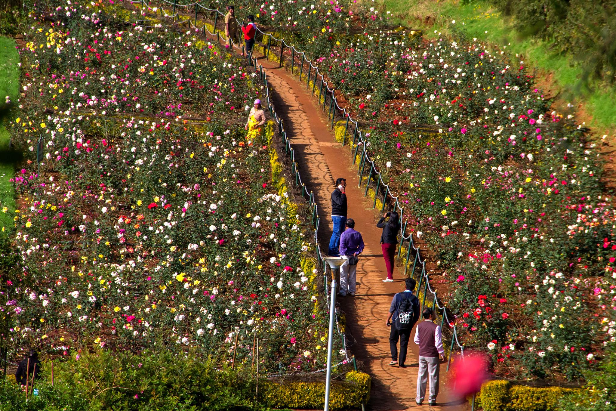 Southern Hills & Heritage Escape