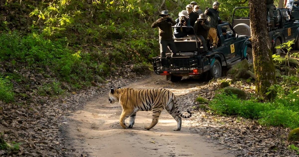 Uttarakhand Adventure, Wildlife & Hill Station Escape