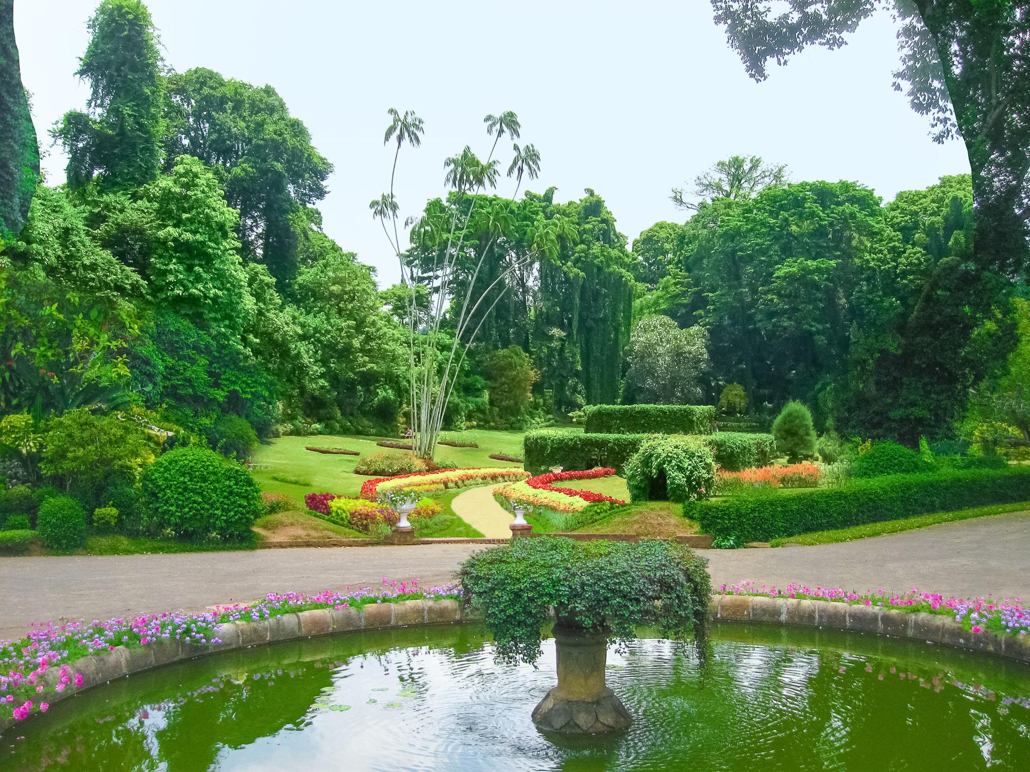 Sri Lanka Heritage, Wildlife & Beach Escape