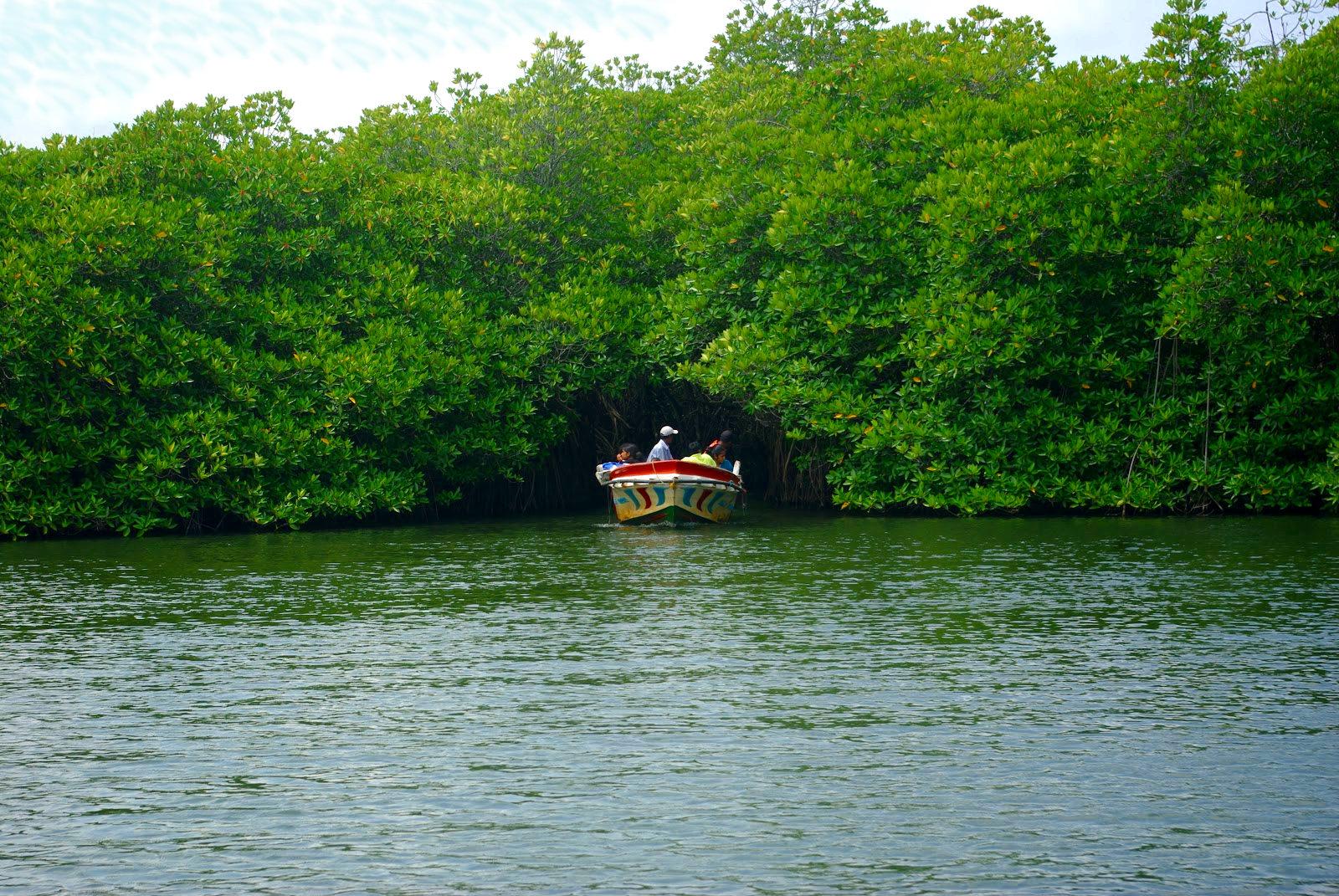 Sri Lanka Heritage, Wildlife & Beach Escape