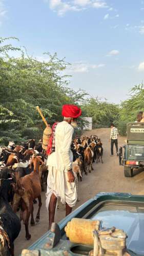 Rajasthan